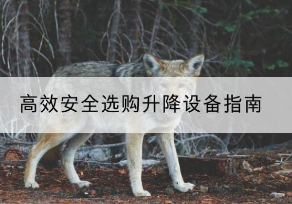 兰州升降货梯厂家推荐-*安全选购升降设备指南