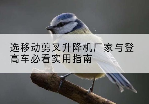 兰州电动升降机厂家-选移动剪叉升降机厂家与登高车必看实用指南