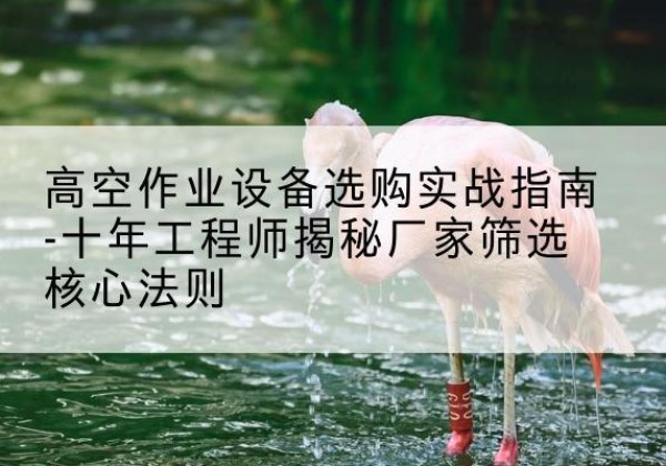 兰州剪叉式升降机厂家-高空作业设备选购实战指南-十年工程师揭秘厂家筛选核心法则